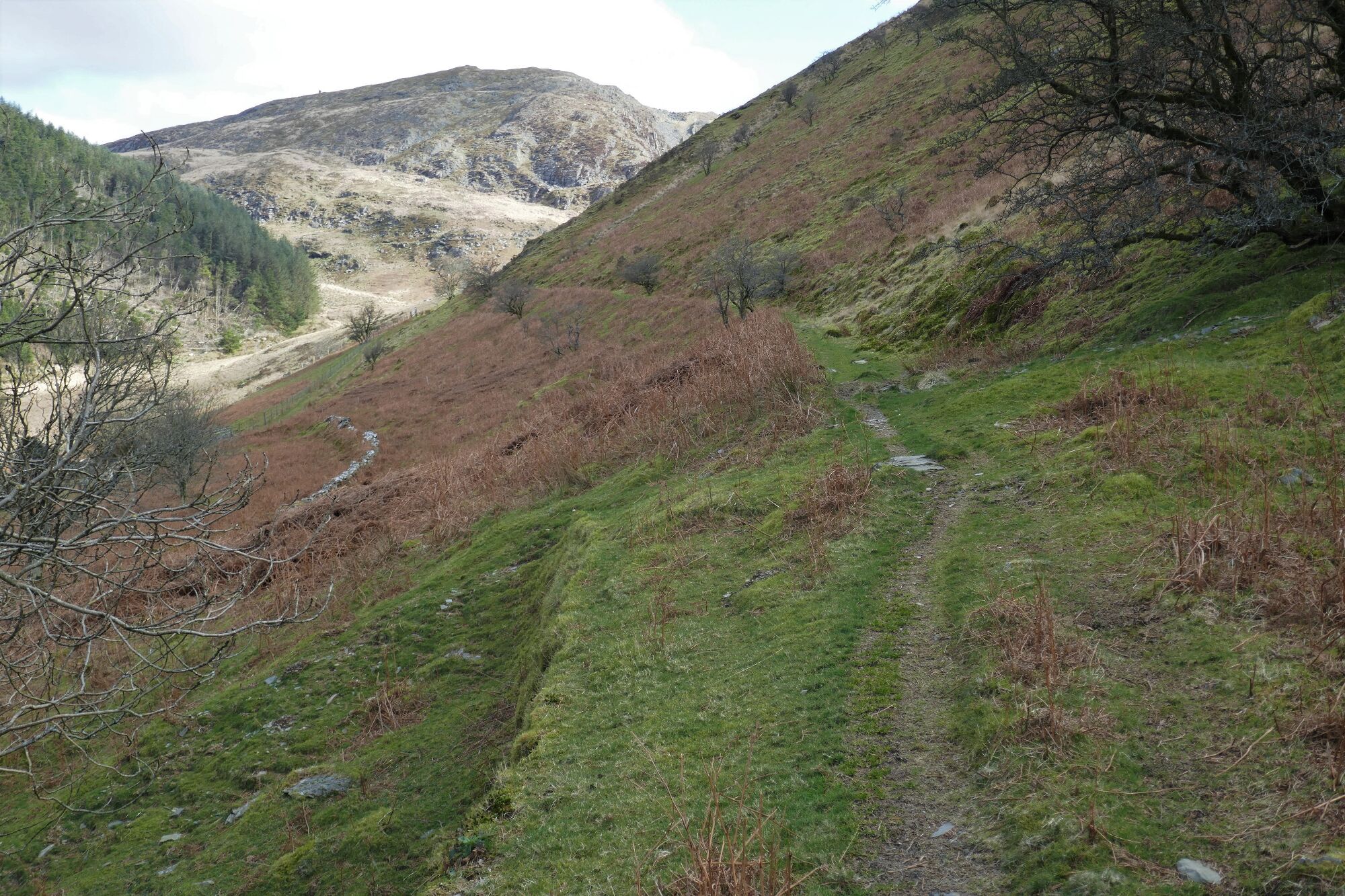 RachelSeabrook.net | Wild Walking | Cwm Cyneiniog and Craig y Pistyll | pic08